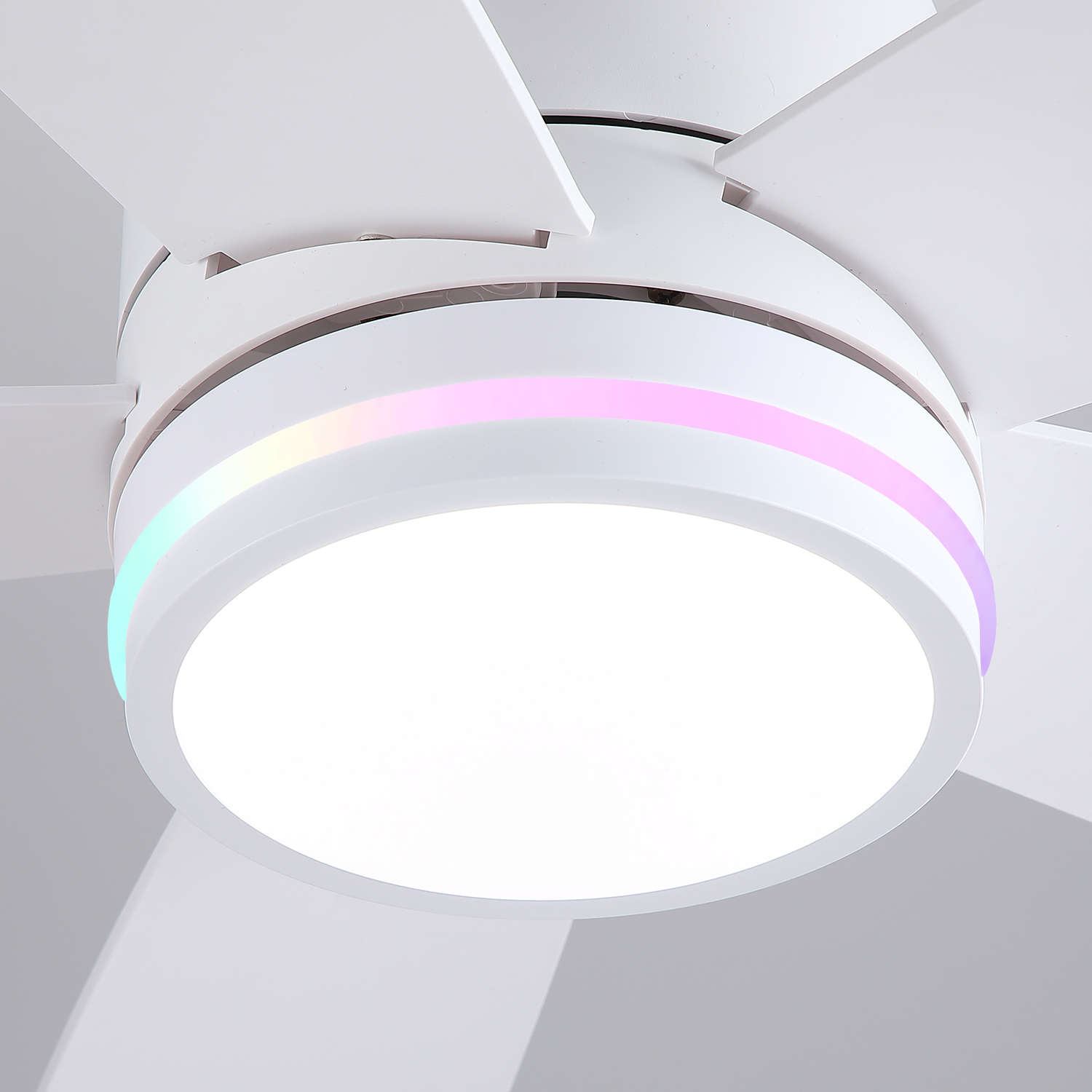 YRK-8933-41CW-RGB-5XD