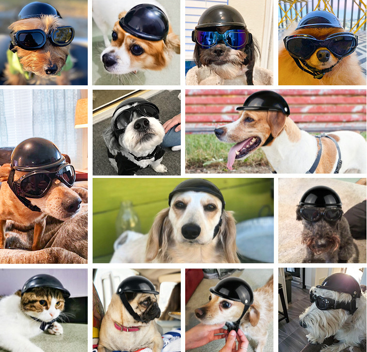 thumbnail image 5 of Casco para mascotas, gorra de seguridad para perros, casco de bicicleta para gatos, casco universal de plástico ajustable para motocicleta para perros pequeños, gatos (negro, S), 5 of 5