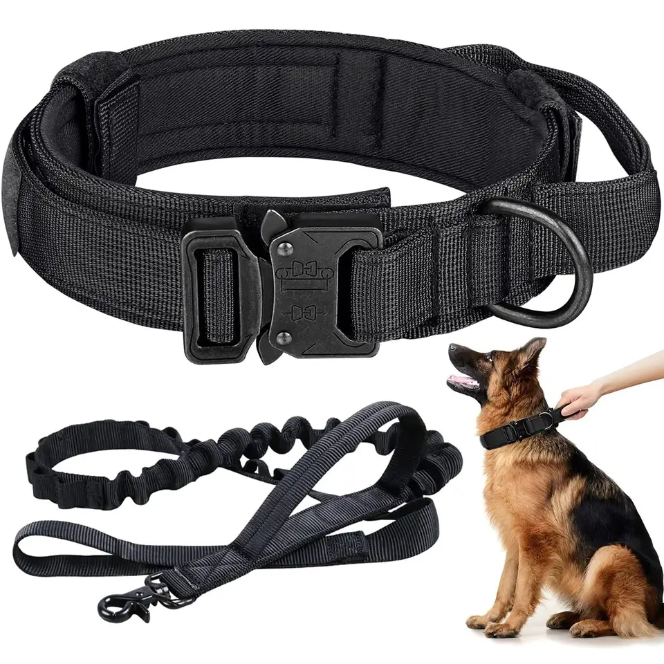 DAGANXI Collar táctico para perro, collar de nailon ajustable para entrenamiento militar con asa de control y hebilla de metal pesado para perros medianos y grandes, con parches y estuche (M
