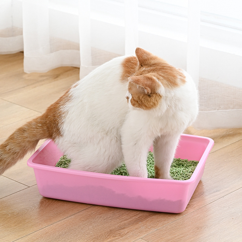 thumbnail image 3 of Caja de arena, caja de arena abierta para mascotas, pala de envío de lavabo de plástico, cuenco para gatos, arena para mascotas, arena para gatos, juego de 5 piezas, 3 of 5