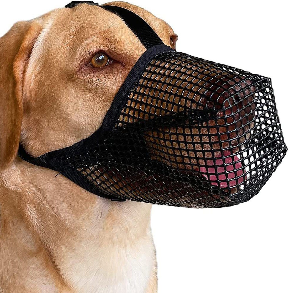 thumbnail image 1 of Bozal para Perros con Malla Redondeada, Bozal Transpirable para Perros Pequeños, Medianos y Grandes, Evita Comer, Morder y Masticar (XS, Negro), 1 of 5