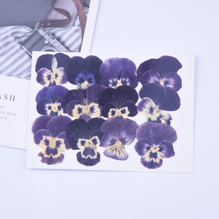 thumbnail image 1 of Varias flores secas son hojas secas prensadas DIY flores secas prensadas reales-marcapáginas manuales, 1 of 5
