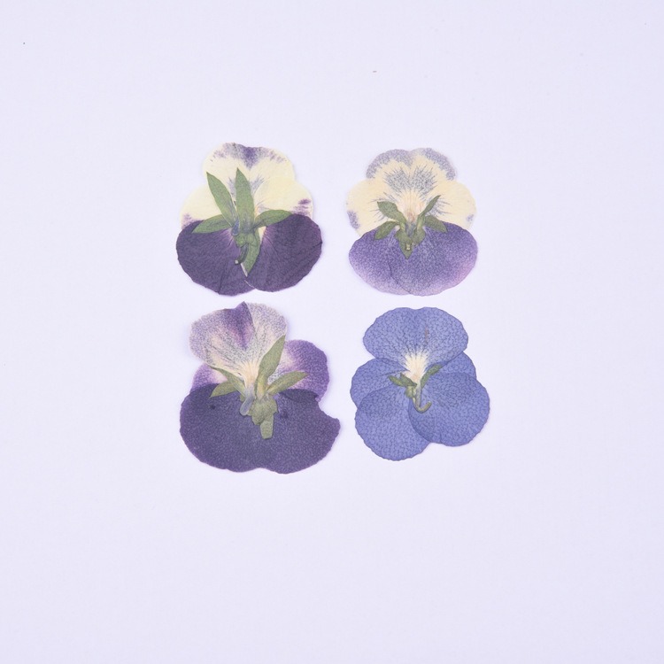 thumbnail image 5 of Varias flores secas son hojas secas prensadas DIY flores secas prensadas reales-marcapáginas manuales, 5 of 5