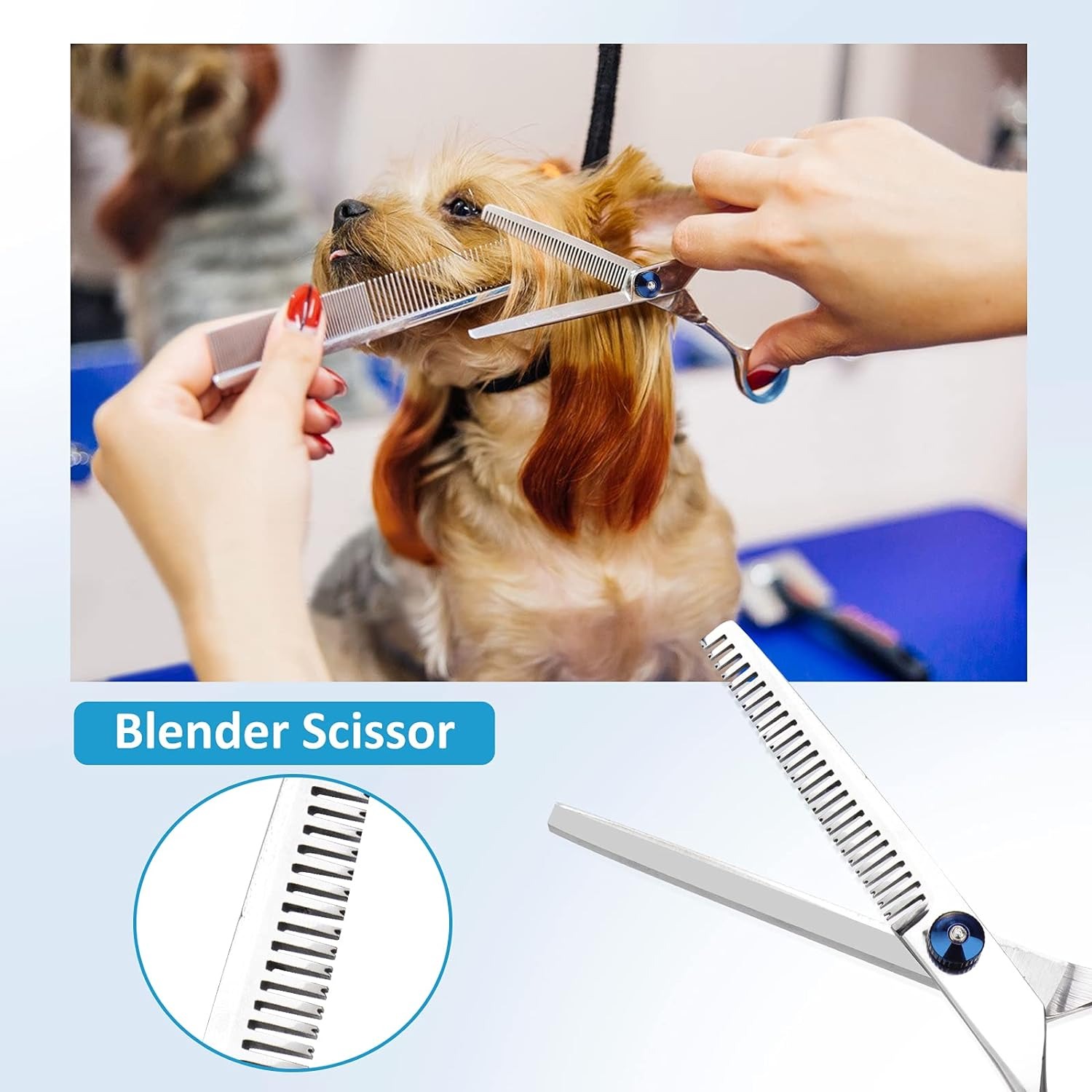 thumbnail image 5 of Tijeras de peluquería canina YONGSHENG 5 uds recortadora profesional de acero inoxidable con peine de bolsillo, 5 of 5