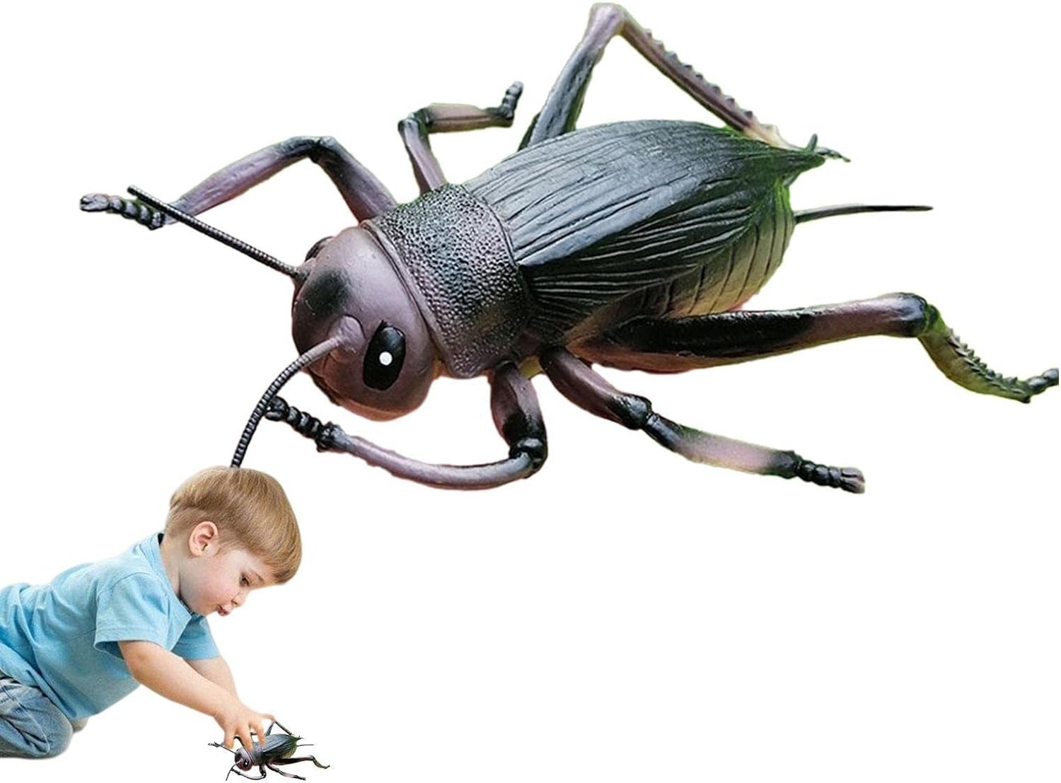 thumbnail image 4 of Juguetes de insectos, figuras de juguetes de insectos de modelo animal realista de PVC para niños: simulación de grillos, mariquitas para educación y regalos de fiesta de cumpleaños, 4 of 4