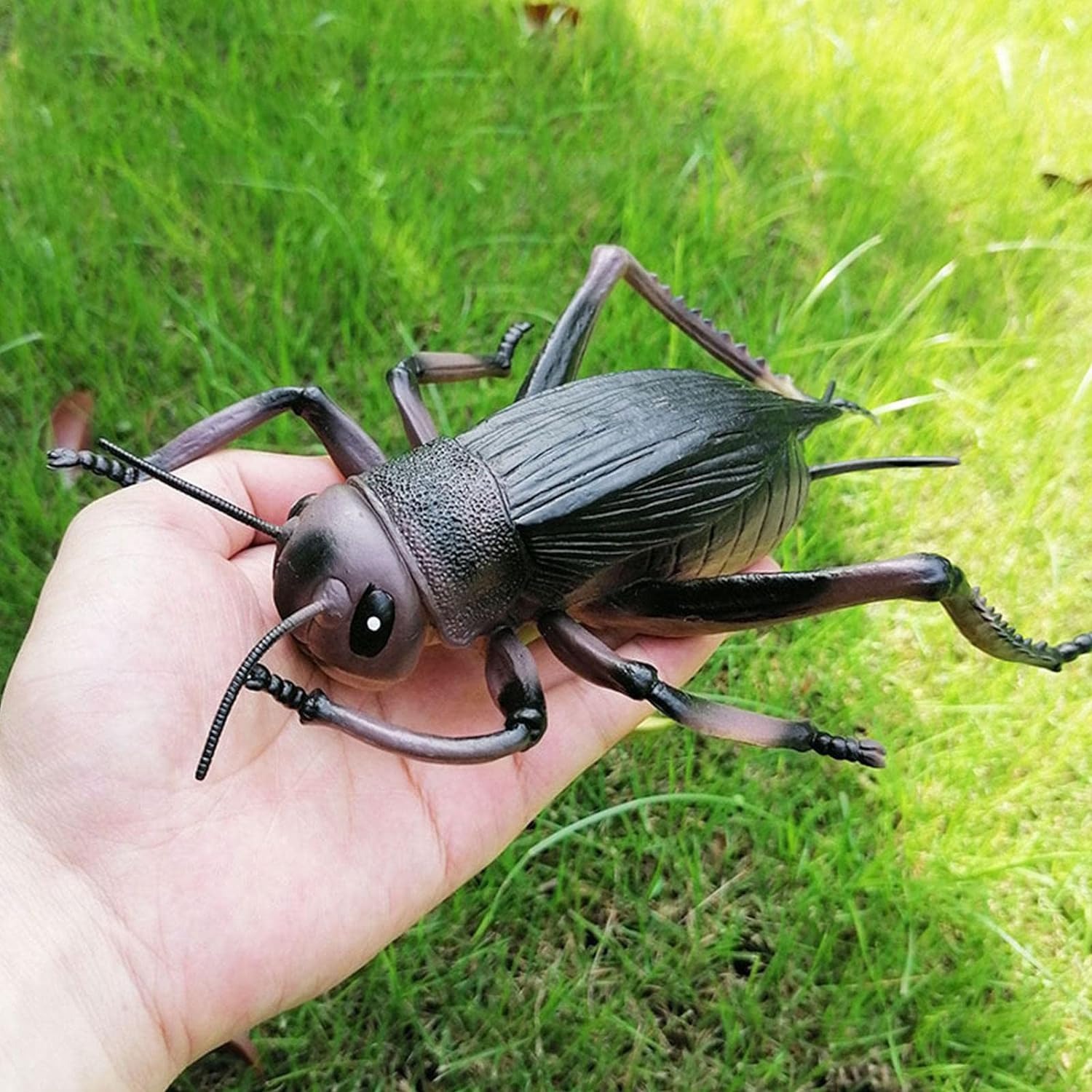 thumbnail image 3 of Juguetes de insectos, figuras de juguetes de insectos de modelo animal realista de PVC para niños: simulación de grillos, mariquitas para educación y regalos de fiesta de cumpleaños, 3 of 4
