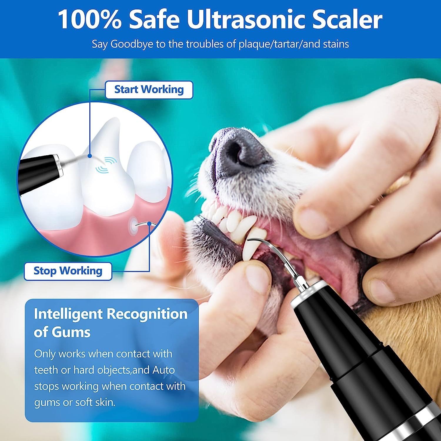 thumbnail image 2 of Removedor de placa para perros para dientes, cepillo de dientes limpiador de dientes ultrasónico para mascotas, kit de limpieza de dientes, removedor de sarro para manchas de dientes para pe, 2 of 5