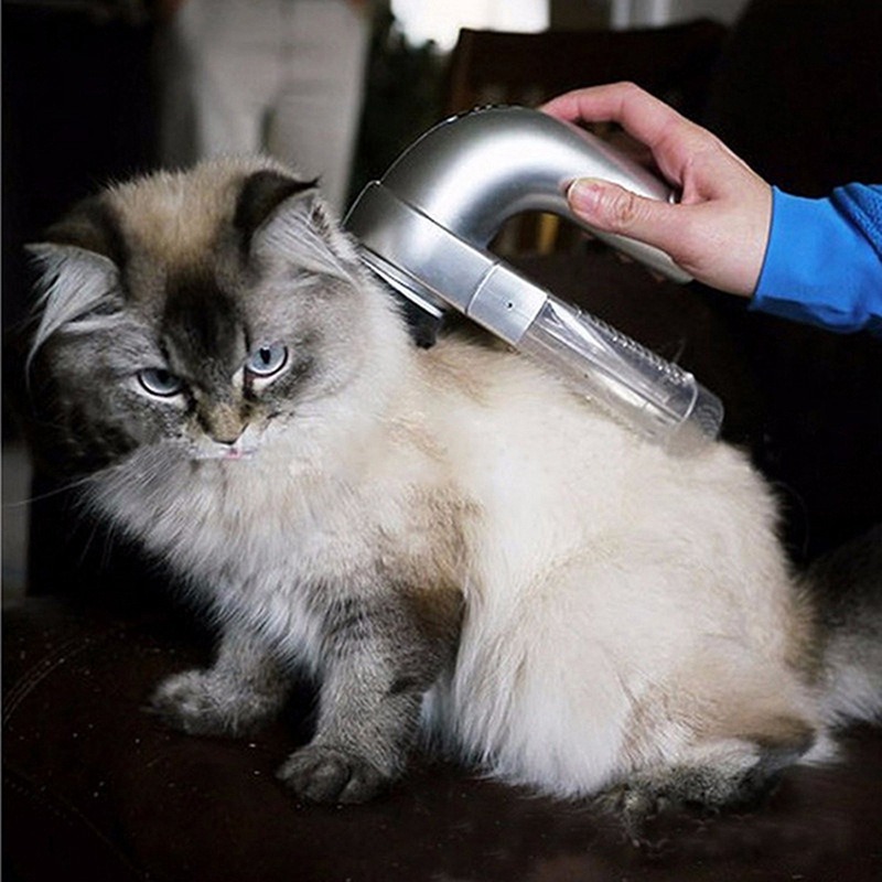 thumbnail image 3 of Cepillo eléctrico para limpiar el pelo de mascotas, aspiradora para perros y gatos, herramienta de aseo, 3 of 5