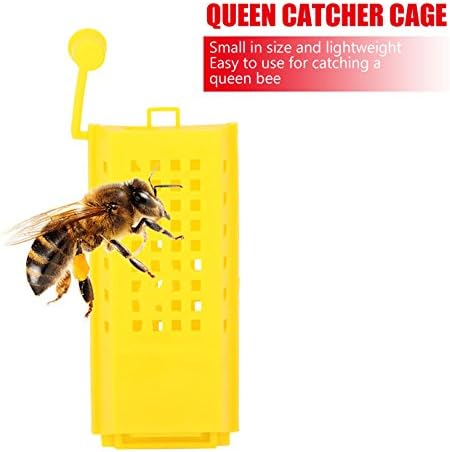 thumbnail image 4 of 10 piezas de jaulas de reina, kit de taza de crianza de apicultura, jaula de plástico para abeja reina, rodillo de marcado, transporte, caja atrapa insectos, apicultor estrella, 4 of 4