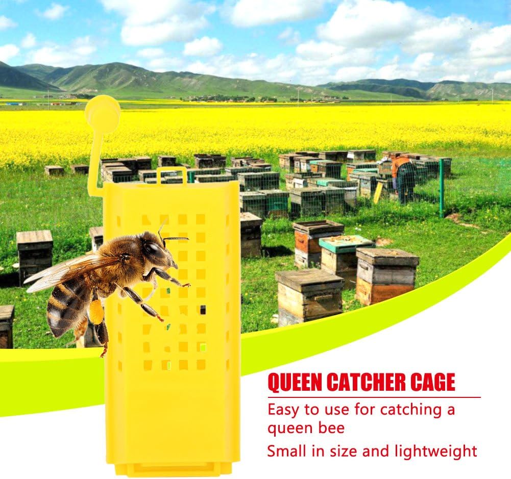 thumbnail image 3 of 10 piezas de jaulas de reina, kit de taza de crianza de apicultura, jaula de plástico para abeja reina, rodillo de marcado, transporte, caja atrapa insectos, apicultor estrella, 3 of 4