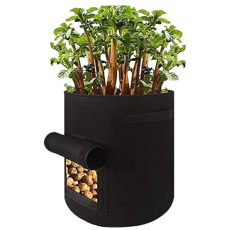 thumbnail image 1 of Bolsas de Cultivo de Patatas YONGSHENG 10 Galones Tela No Tejida, 1 of 4