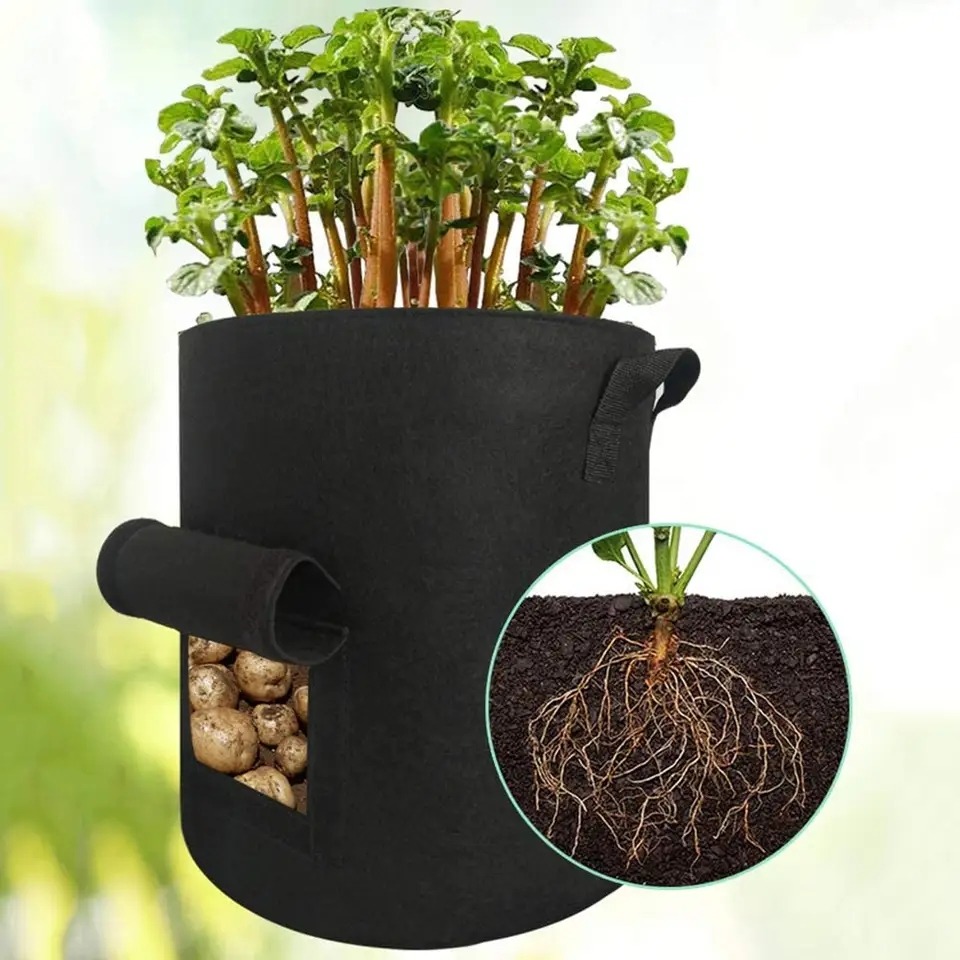 thumbnail image 2 of Bolsas de Cultivo de Patatas YONGSHENG 10 Galones Tela No Tejida, 2 of 4