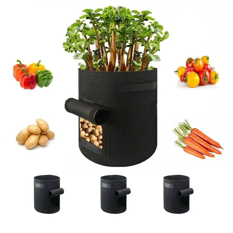 thumbnail image 3 of Bolsas de Cultivo de Patatas YONGSHENG 10 Galones Tela No Tejida, 3 of 4