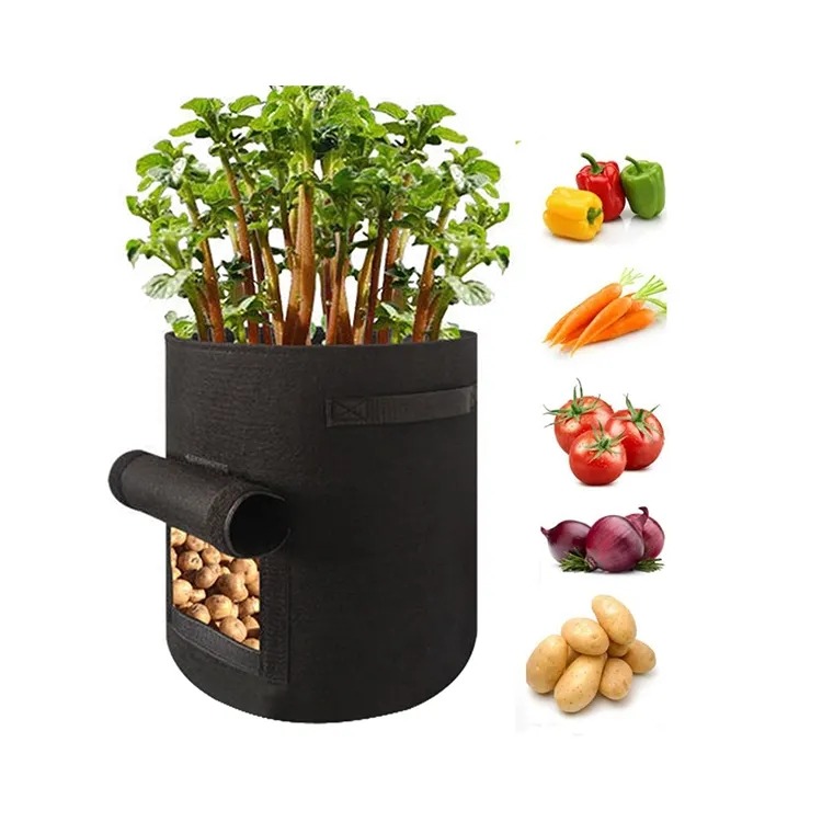 thumbnail image 4 of Bolsas de Cultivo de Patatas YONGSHENG 10 Galones Tela No Tejida, 4 of 4