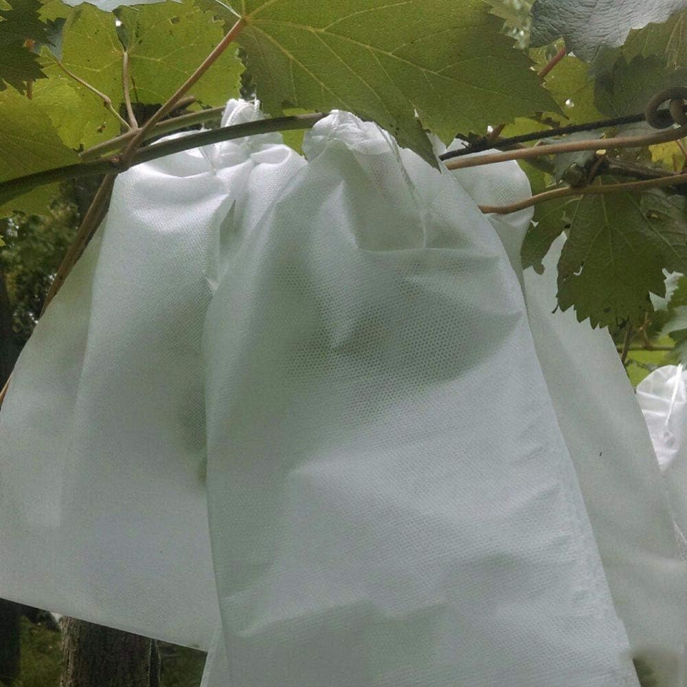 thumbnail image 3 of 100 Uds bolsas de protección de uvas para frutas y verduras bolsa de malla para uvas bolsa para insectos antipájaros antiplagas impermeable para jardín 300mm * 360mm, 3 of 5