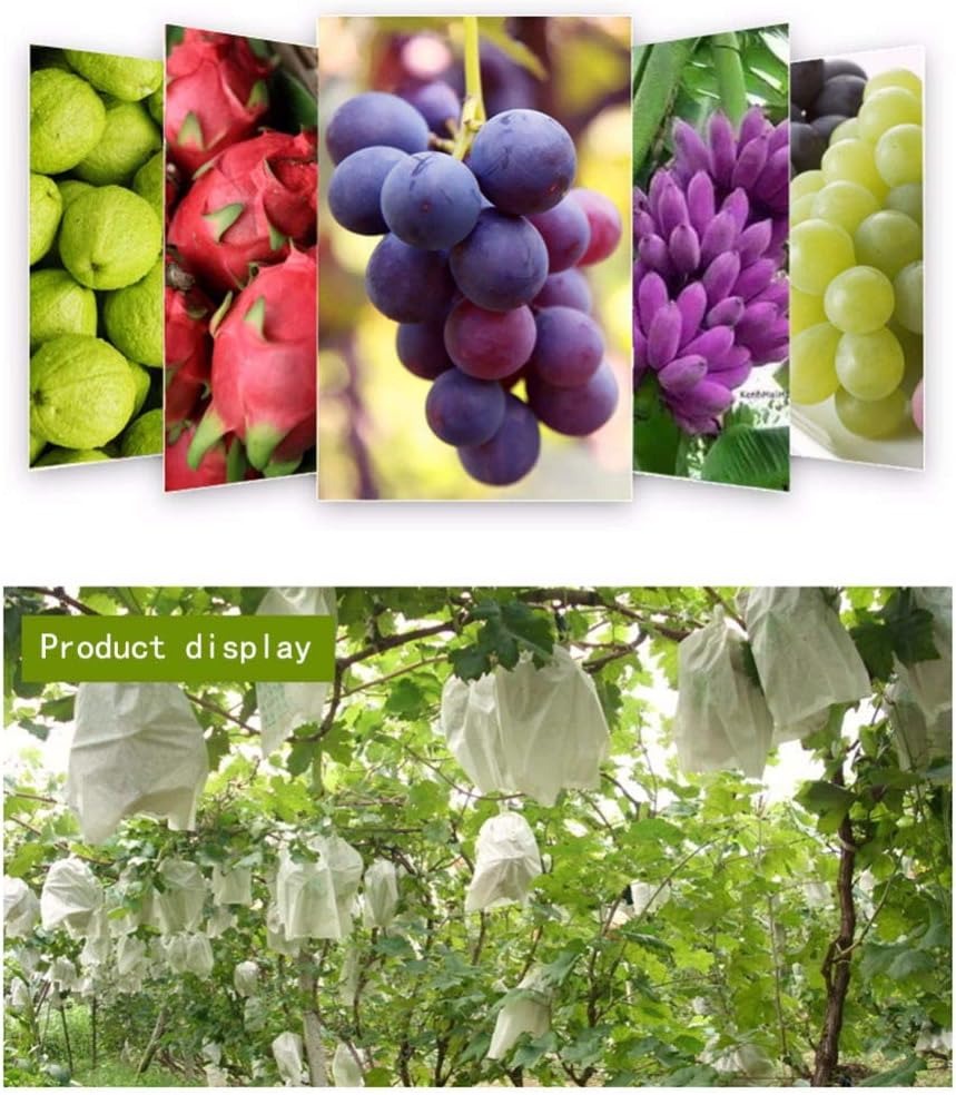 thumbnail image 2 of 100 Uds bolsas de protección de uvas para frutas y verduras bolsa de malla para uvas bolsa para insectos antipájaros antiplagas impermeable para jardín 300mm * 360mm, 2 of 5