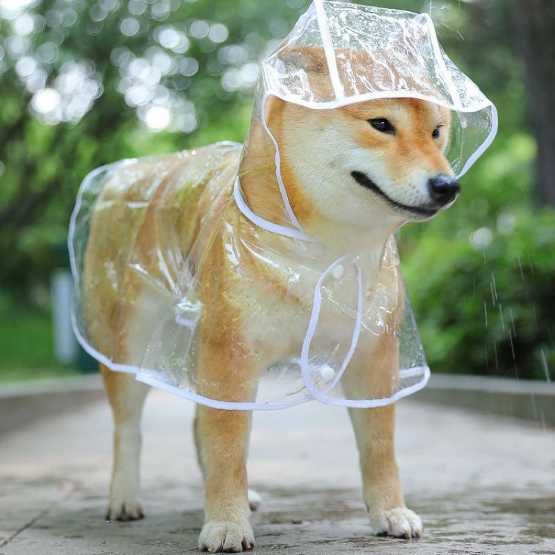 thumbnail image 3 of Abrigo impermeable YONGSHENG para perros y gatos pequeños PVC transparente ultraligero, 3 of 5