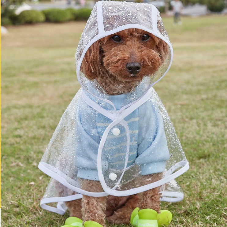 thumbnail image 2 of Abrigo impermeable YONGSHENG para perros y gatos pequeños PVC transparente ultraligero, 2 of 5