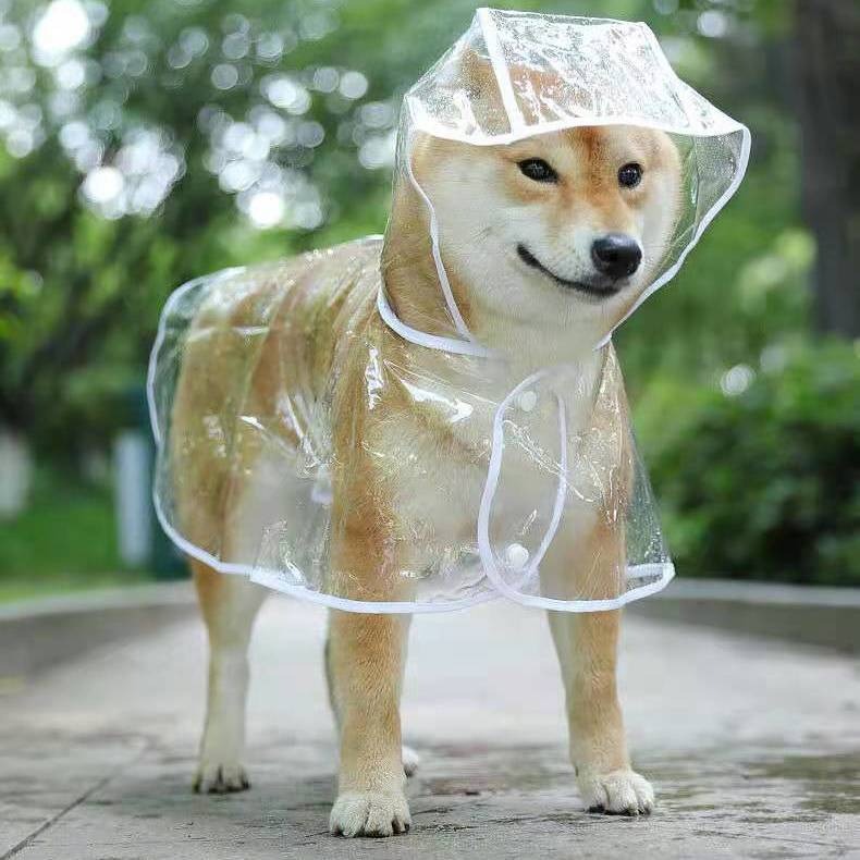 thumbnail image 1 of Abrigo impermeable YONGSHENG para perros y gatos pequeños PVC transparente ultraligero, 1 of 5