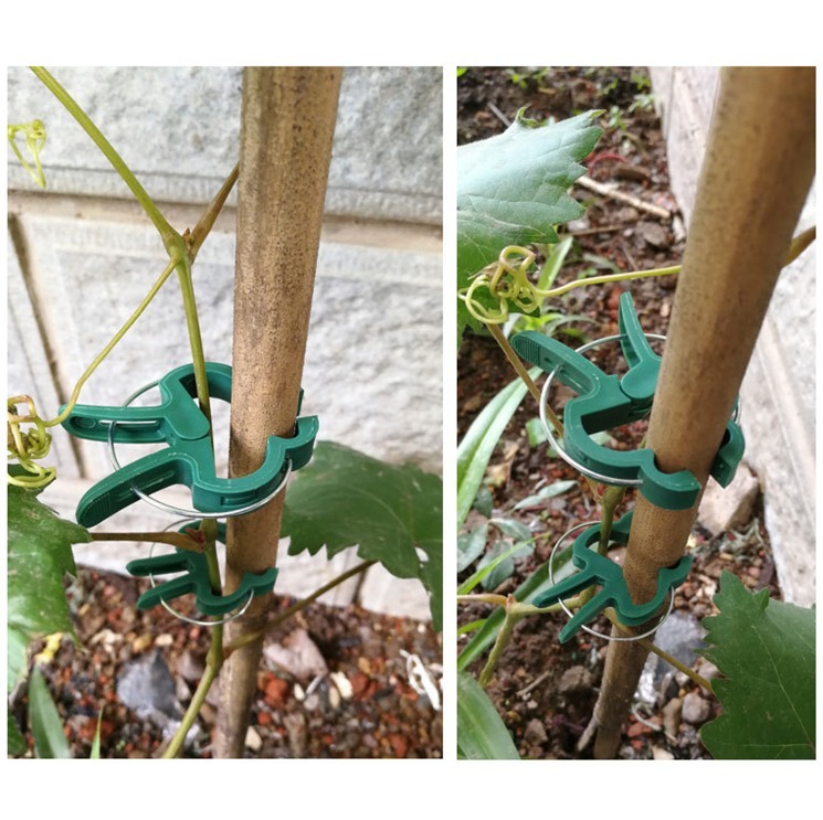 thumbnail image 5 of Clips para Fijar Plantas YONGSHENG 40 Clips Verdes Grandes y Pequeños, 5 of 5
