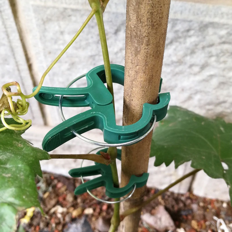 thumbnail image 3 of Clips para Fijar Plantas YONGSHENG 40 Clips Verdes Grandes y Pequeños, 3 of 5
