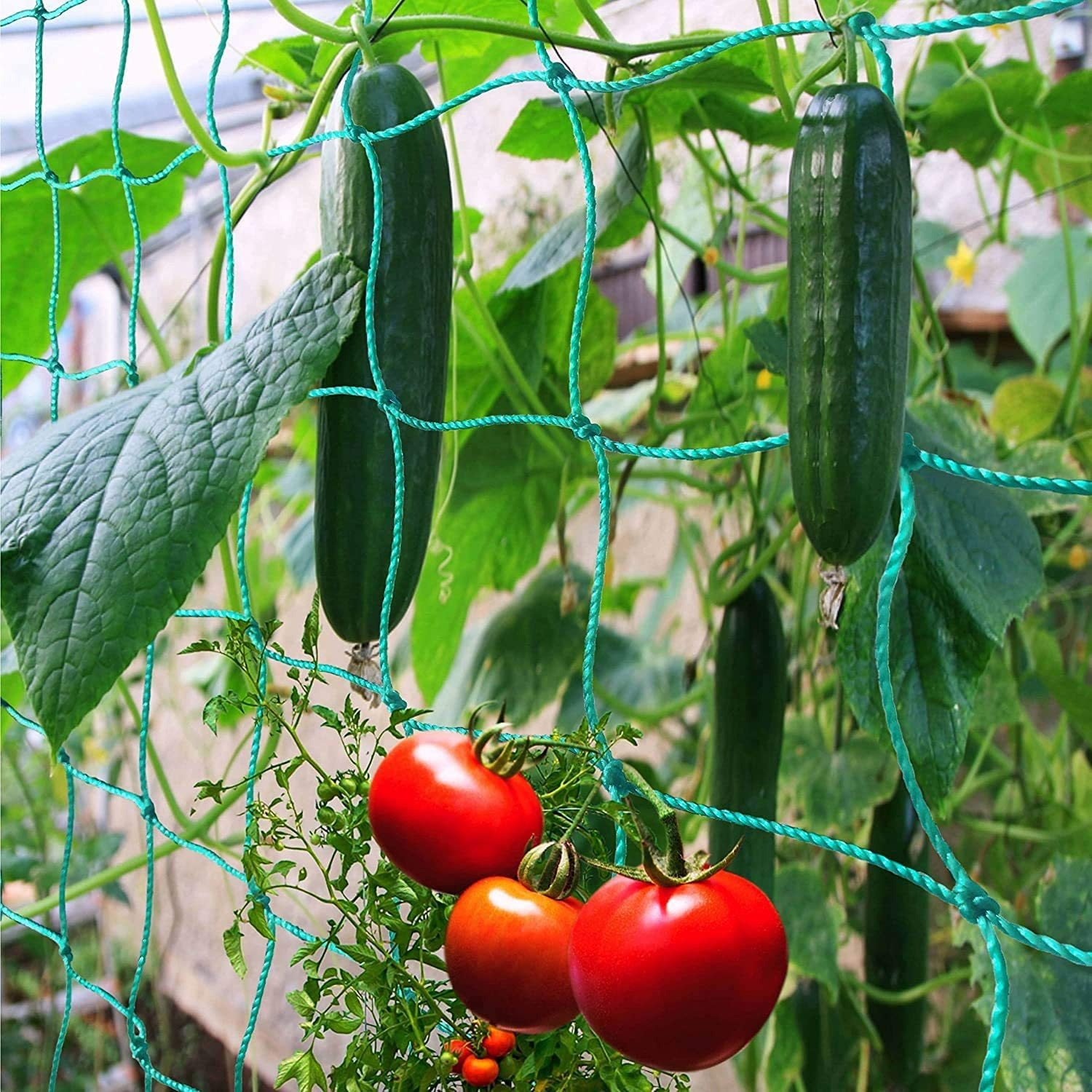 thumbnail image 1 of Red para plantas trepadoras de jardín para pepinos, guisantes y tomates, 2,7 x 1,8 m, malla de 10 cm, 1 of 5