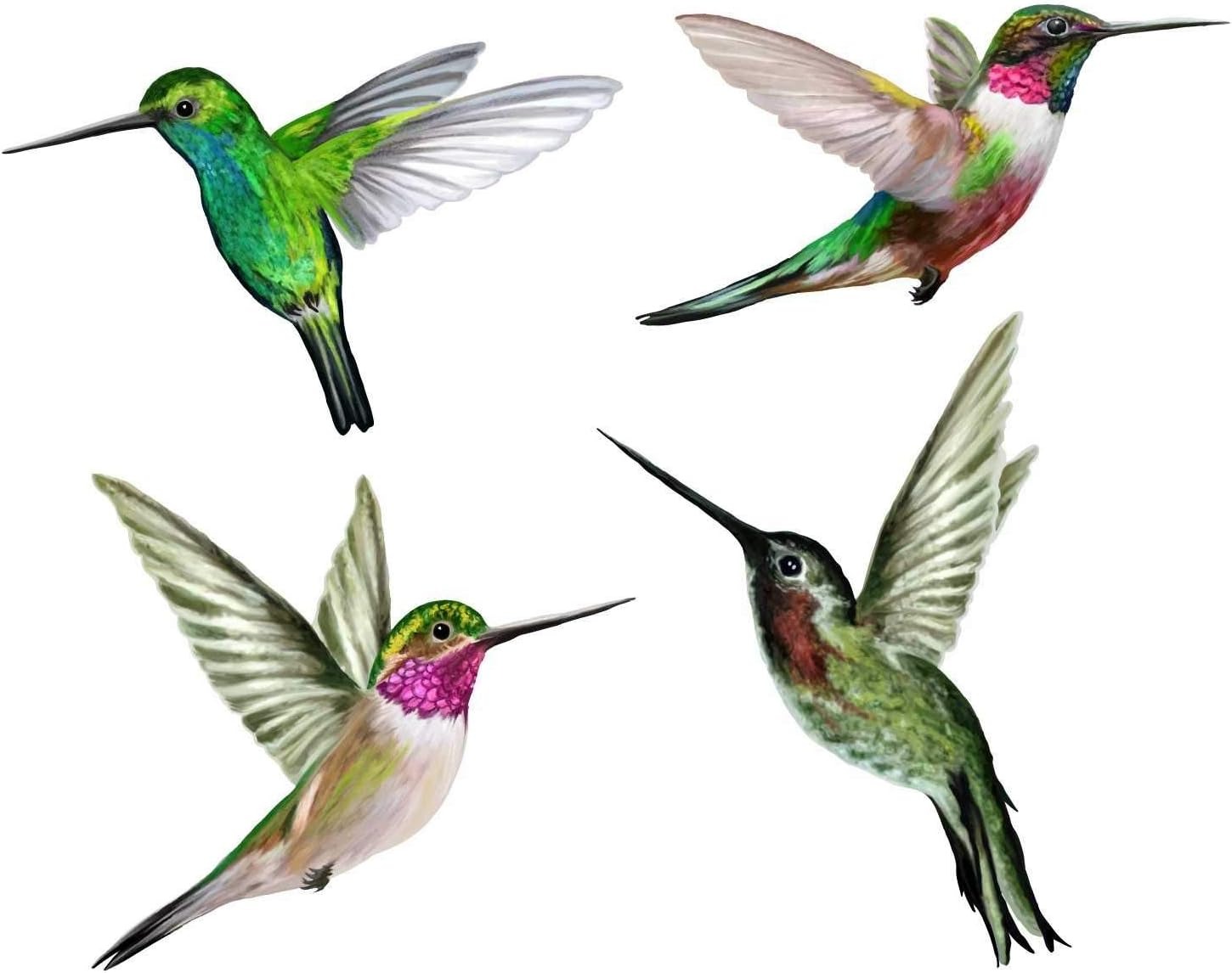 thumbnail image 2 of 4 magníficas pegatinas electrostáticas decorativas con patrón de colibrí: ayudan a evitar que los pájaros choquen contra sus ventanas, 2 of 3